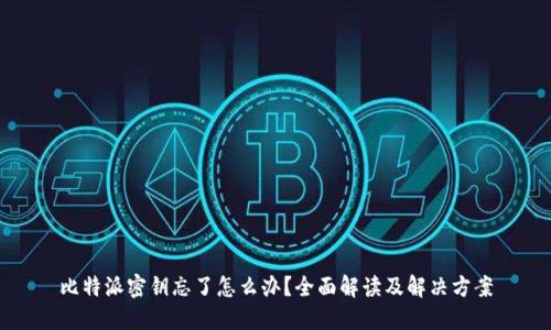 比特派密钥忘了怎么办？全面解读及解决方案