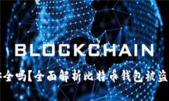 比特币钱包安全吗？全面