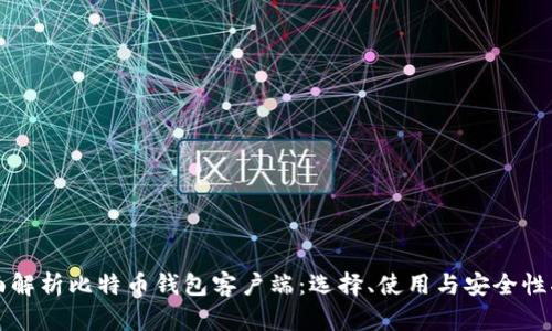 全面解析比特币钱包客户端：选择、使用与安全性指南
