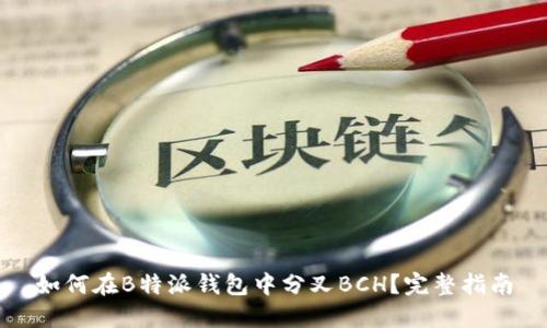 如何在B特派钱包中分叉BCH？完整指南