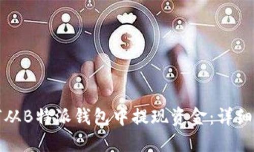 如何从B特派钱包中提现资金：详细指南