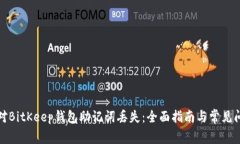 如何应对BitKeep钱包助记词