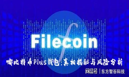 嘟比特币Plus钱包：真相揭秘与风险分析