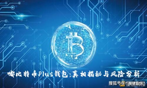嘟比特币Plus钱包：真相揭秘与风险分析
