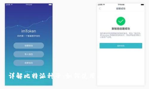 详解比特派种子：如何使用与安全性分析