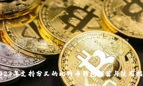 2023年支持分叉的比特币钱包推荐与使用指南
