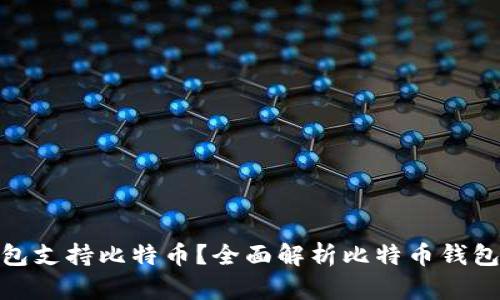哪些钱包支持比特币？全面解析比特币钱包的选择