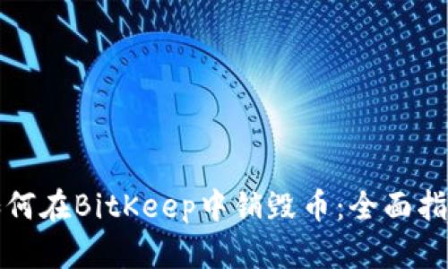 如何在BitKeep中销毁币：全面指南