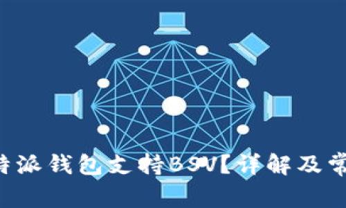 如何使用B特派钱包支持BSV？详解及常见问题解答