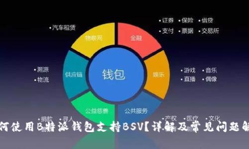 如何使用B特派钱包支持BSV？详解及常见问题解答