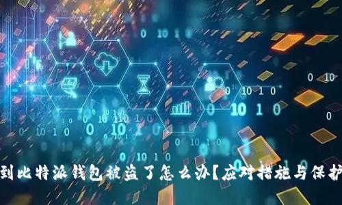 : 遇到比特派钱包被盗了怎么办？应对措施与保护建议