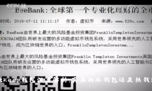 BitKeep钱包深度解析：真正的冷钱包还是热钱包？