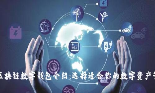 常用的区块链数字钱包介绍：选择适合你的数字资产管理工具