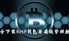 如何安全下载BitP钱包并有