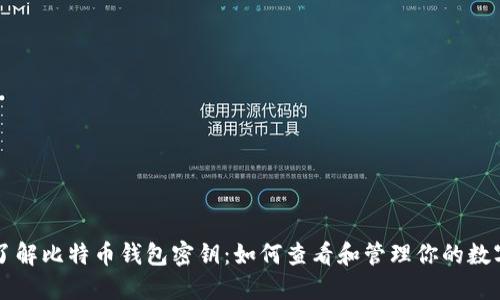 深入了解比特币钱包密钥：如何查看和管理你的数字资产