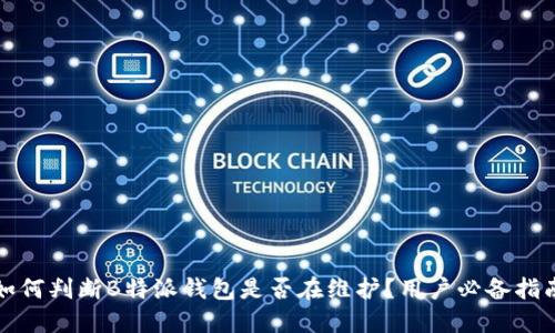 如何判断B特派钱包是否在维护？用户必备指南