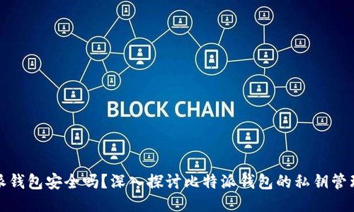 比特派钱包安全吗？深入探讨比特派钱包的私钥管理机制
