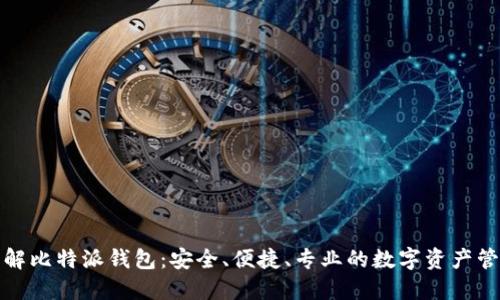 全面了解比特派钱包：安全、便捷、专业的数字资产管理工具
