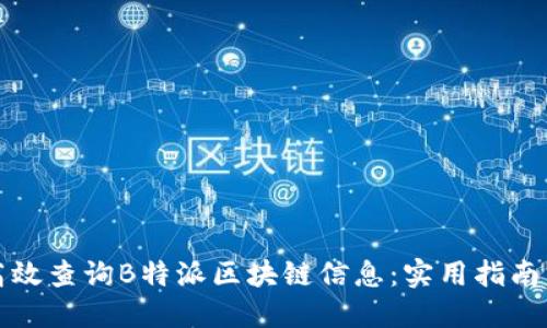 如何高效查询B特派区块链信息：实用指南与技巧