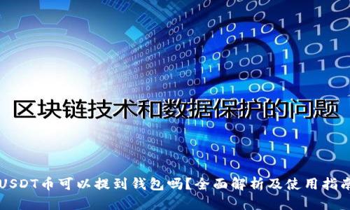 USDT币可以提到钱包吗？全面解析及使用指南