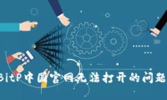 如何解决BitP中国官网无法