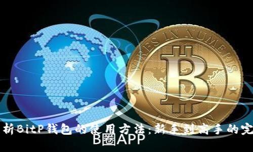 全面解析BitP钱包的使用方法：新手到高手的完美指南