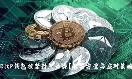 BitP钱包被禁封怎么办？解决方案与应对策略