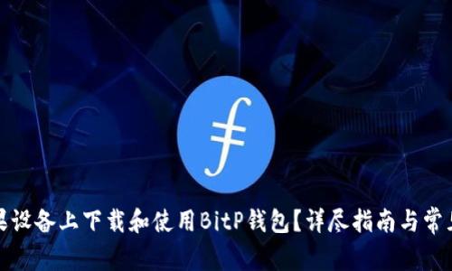 如何在苹果设备上下载和使用BitP钱包？详尽指南与常见问题解答