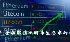 比特币钱包地址统计分析