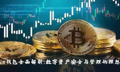 Bitpie钱包全面解析：数字资产安全与管理的理想选择