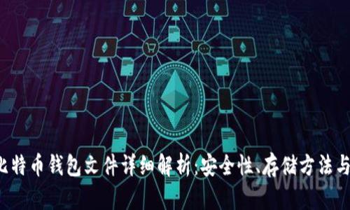 2010年比特币钱包文件详细解析：安全性、存储方法与未来展望