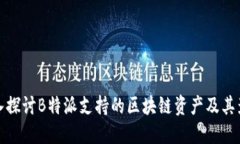 深入探讨B特派支持的区块