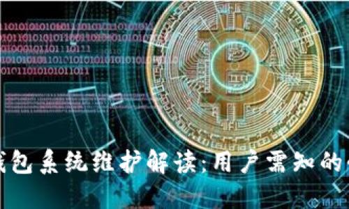 比特派钱包系统维护解读：用户需知的必备信息