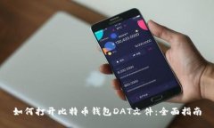如何打开比特币钱包DAT文