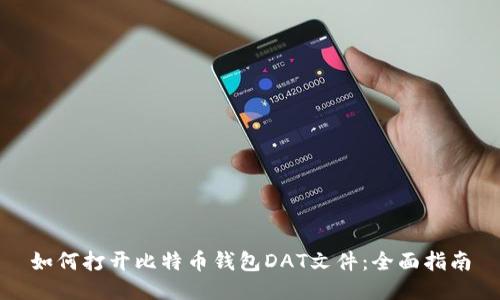 如何打开比特币钱包DAT文件：全面指南