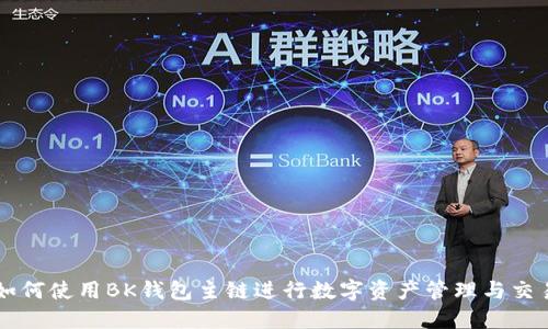 如何使用BK钱包主链进行数字资产管理与交易